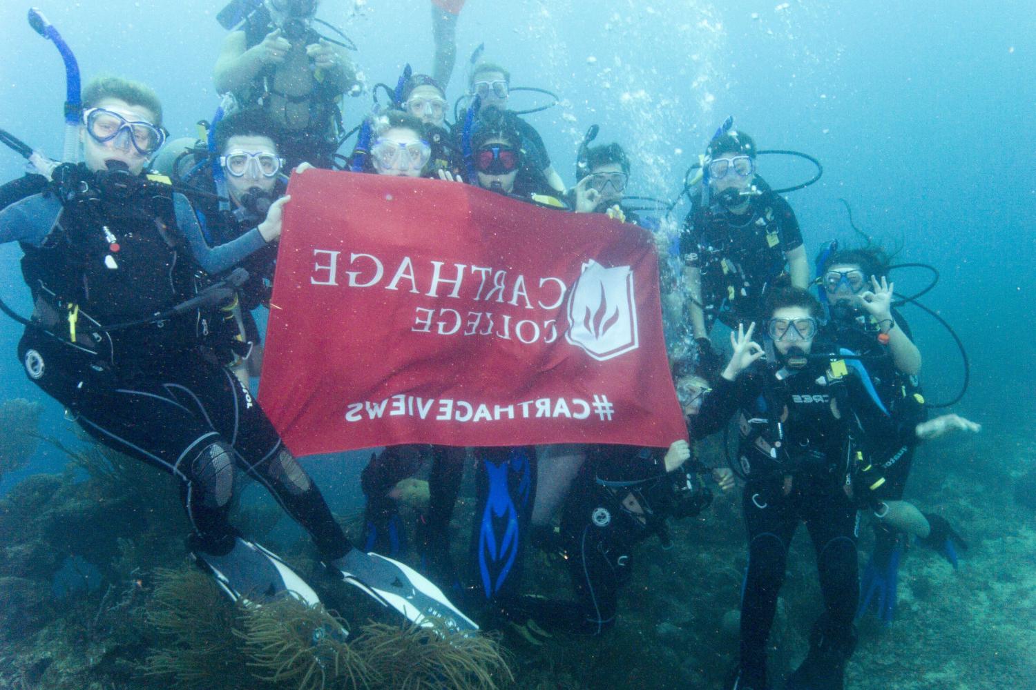 学生们手持<a href='http://ctss.ngskmc-eis.net'>博彩网址大全</a>旗帜，在j学期洪都拉斯游学之旅中潜水.